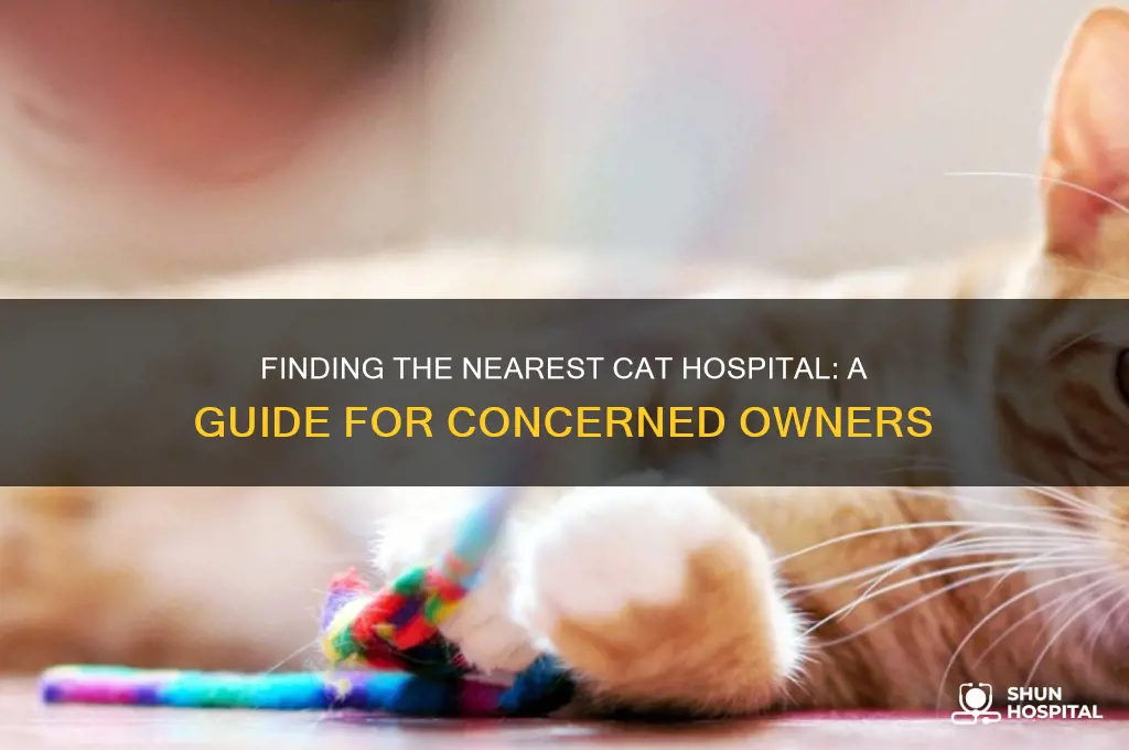 where is the cat hospital