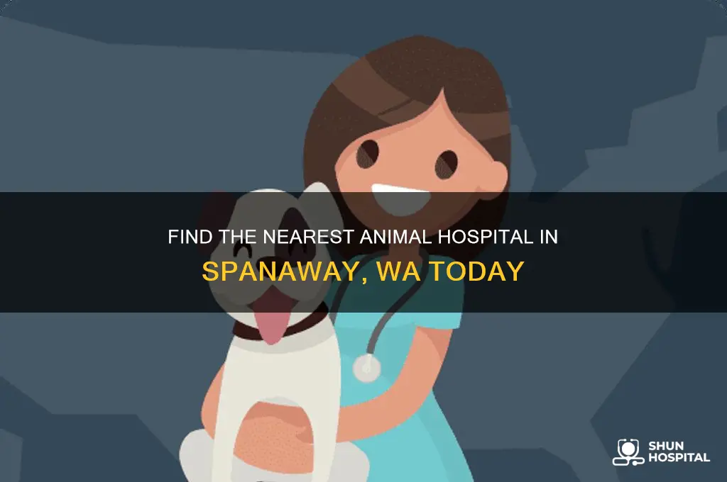 where is the closest animal hospital in spanaway wa