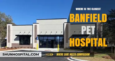 Find the Nearest Banfield Pet Hospital for Your Pet's Care