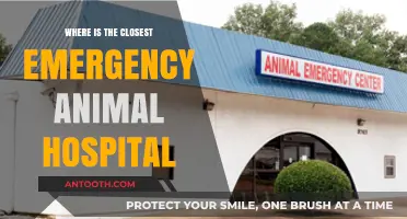 Find the Nearest Emergency Animal Hospital: Quick Guide for Pet Owners