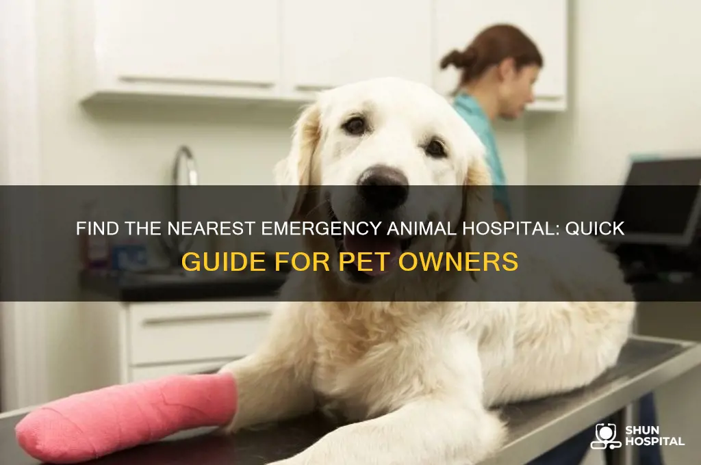 where is the closest emergency animal hospital