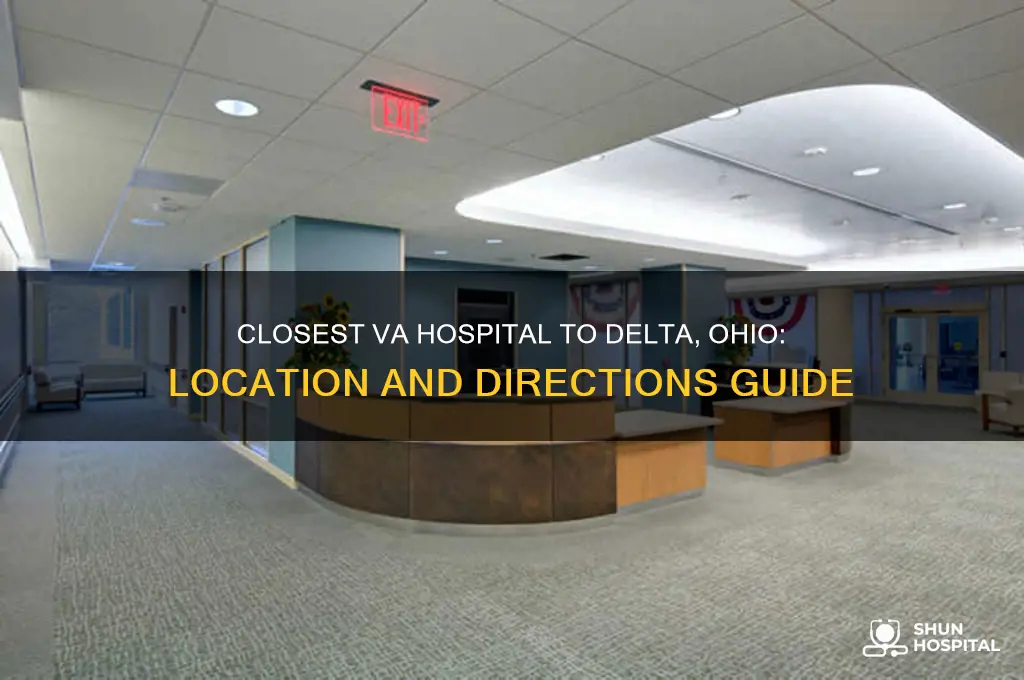 where is the closest va hospital to delta ohio