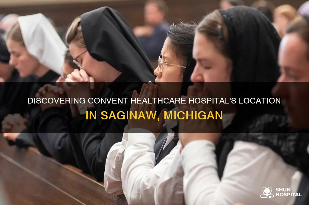 where is the convent healthcare hospital insaginaw
