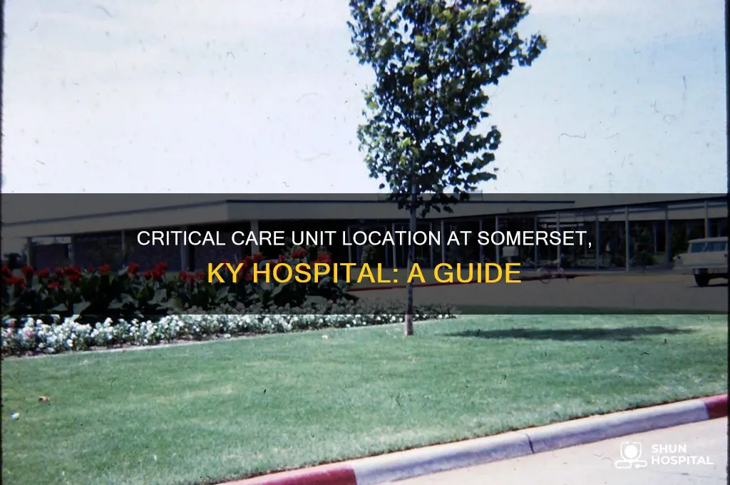 where is the critical care unit at somerset ky hospital