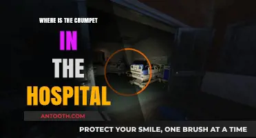 Finding the Crumpet: A Hospital Mystery Unveiled
