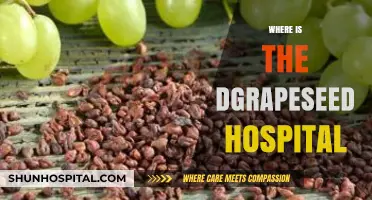 Discovering the Exact Location of the Grapeseed Hospital: A Guide