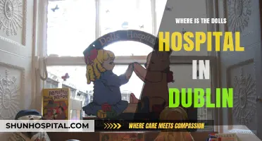 Discover Dublin's Dolls Hospital: Location and Restoration Services Guide