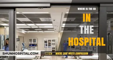 Finding the ED: Navigating Emergency Department Locations in Hospitals