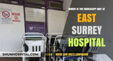 Locating the Endoscopy Unit at East Surrey Hospital: A Quick Guide