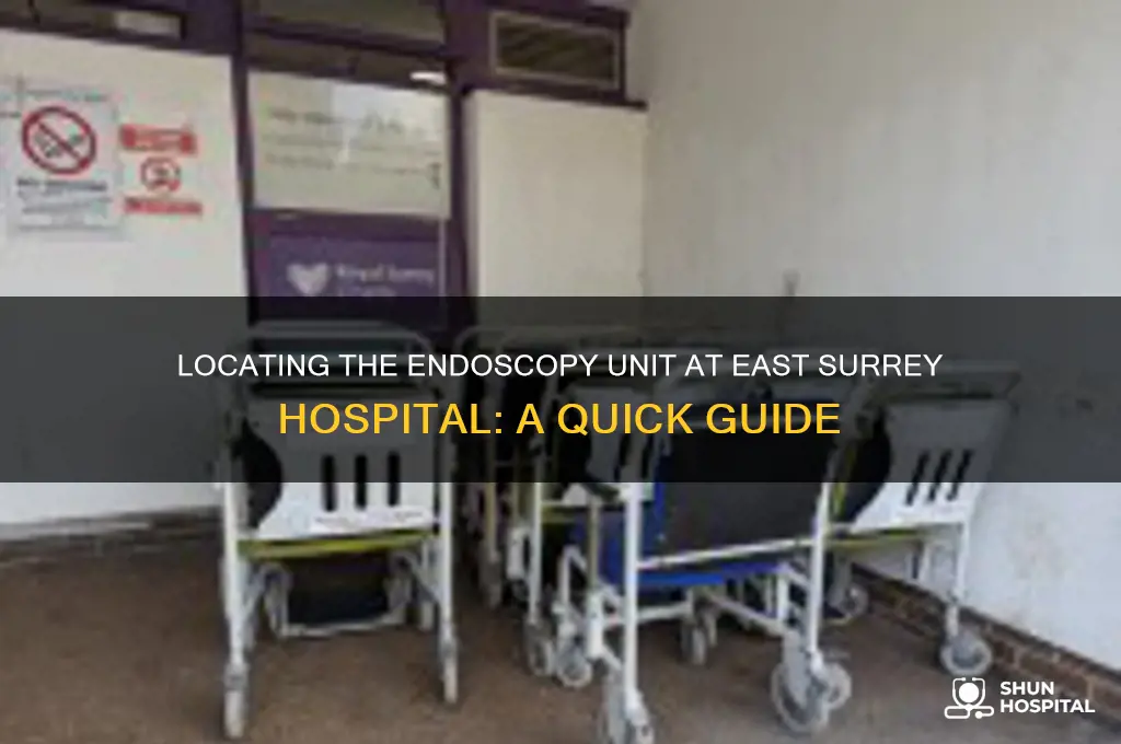 where is the endoscopy unit at east surrey hospital