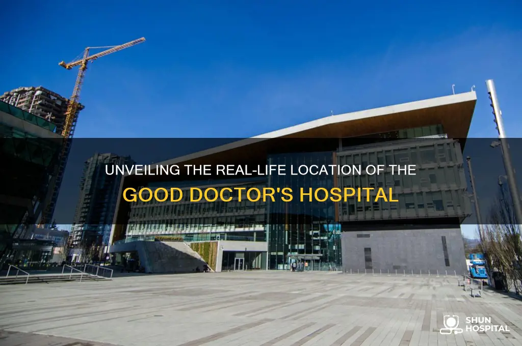 where is the good doctor hospital located