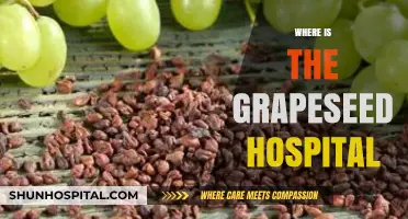 Discovering Grapeseed Hospital's Location: A Comprehensive Guide for Visitors