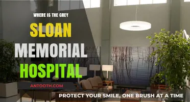 Exploring the Real-Life Location of Grey Sloan Memorial Hospital