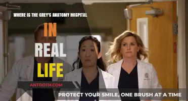 Unveiling the Real-Life Location of Grey's Anatomy's Iconic Hospital