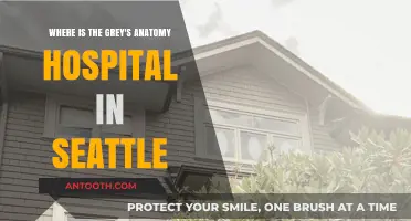 Exploring Seattle: The Real-Life Location of Grey's Anatomy Hospital