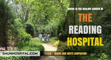 Discover the Healing Garden at Reading Hospital: Location Guide