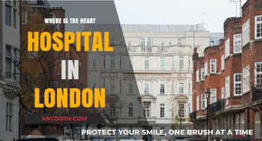 Discover London's Premier Heart Hospital: Location and Essential Details