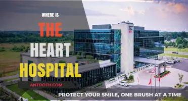 Finding the Best Heart Hospital: Location, Services, and Expert Care