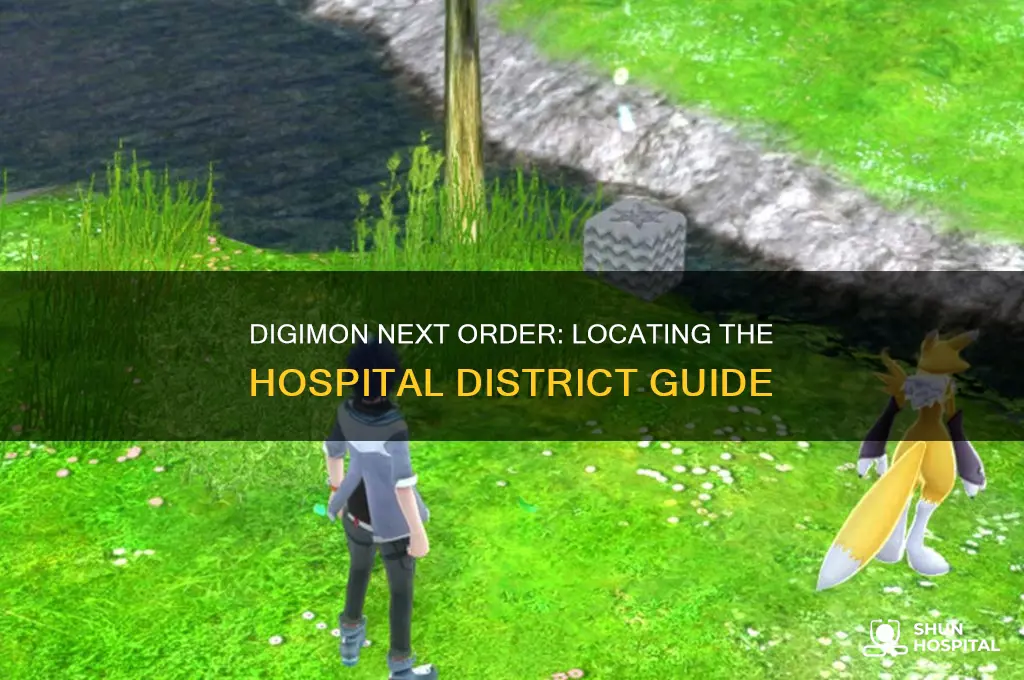 where is the hospital district in digimon next order