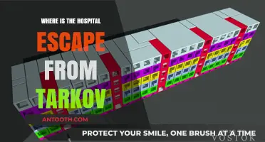 Escape from Tarkov: Locating the Hospital for Survival and Loot
