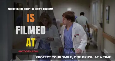 Grey's Anatomy Filming Location: Unveiling the Hospital's Real-Life Setting