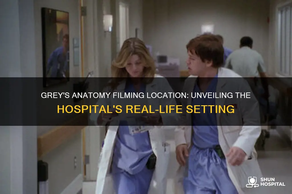 where is the hospital grey