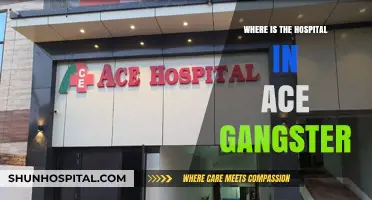 Ace Gangster Hospital Location: A Quick Guide to Finding Medical Help