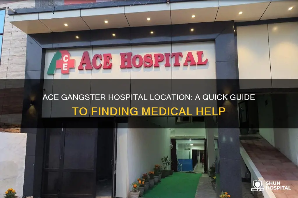 where is the hospital in ace gangster