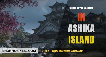 Exploring Ashika Island: Locating the Hospital for Visitors and Residents