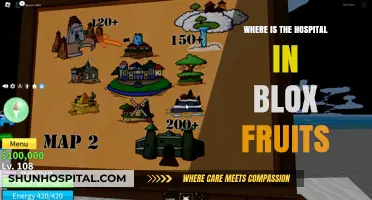 Blox Fruits Hospital Location Guide: Find Medical Help Fast
