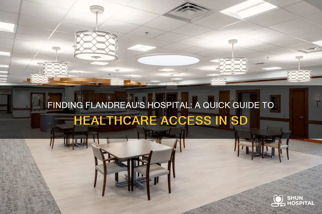 where is the hospital in flandreau sd