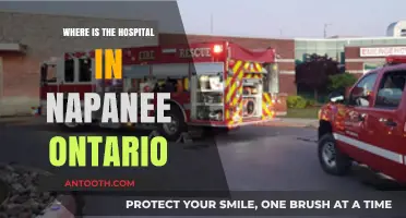 Finding Napanee's Hospital: Location and Directions in Ontario, Canada