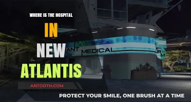 Exploring New Atlantis: Locating the Hospital in the Futuristic City
