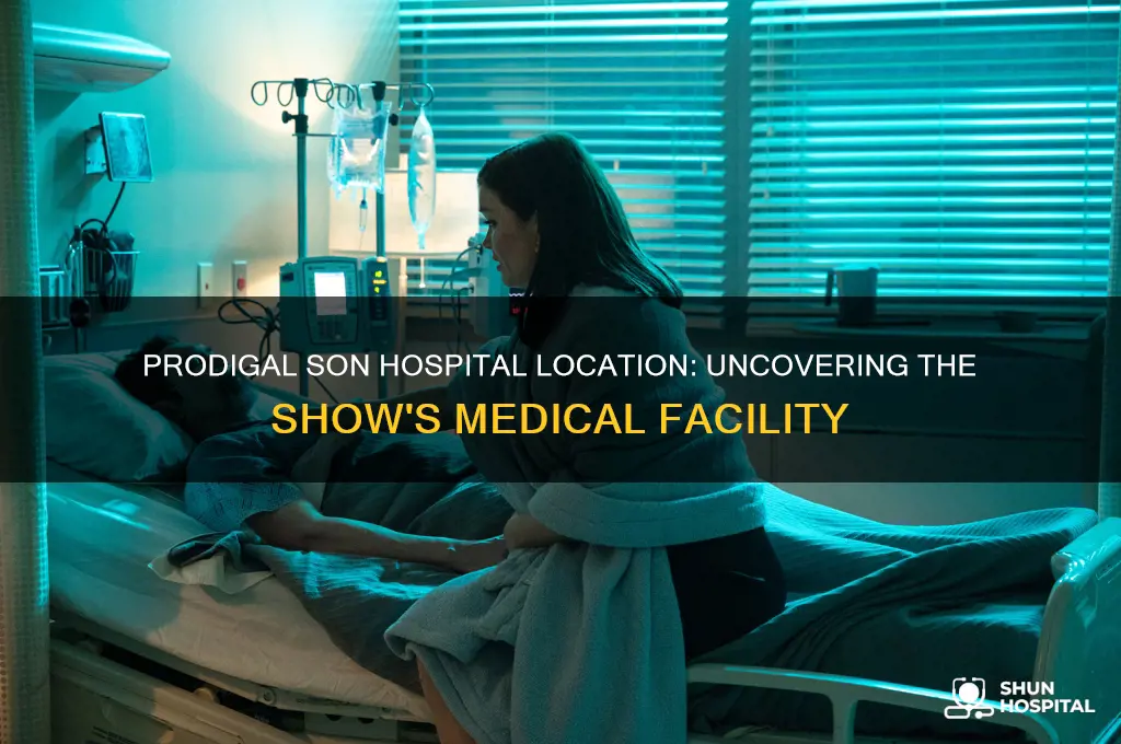 where is the hospital in prodigal son