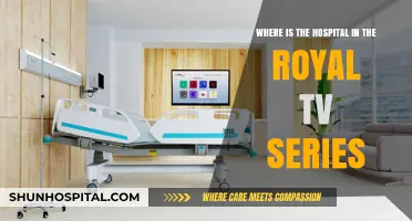 Exploring Royal TV Series: Unveiling the Hospital's Location and Role