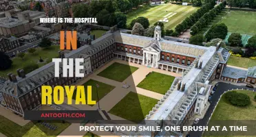 Finding the Hospital in The Royal: A Quick Location Guide