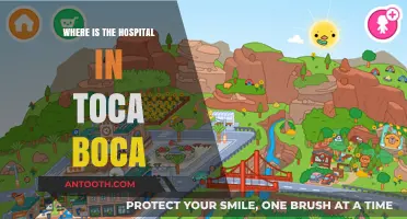Exploring Toca Boca: Locating the Hospital in the Virtual World