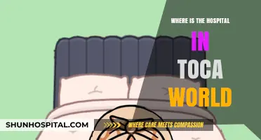 Exploring Toca World: Locating the Hospital in the Game
