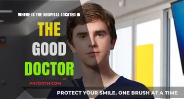 The Good Doctor: Unveiling the Real-Life Location of St. Bonaventure Hospital