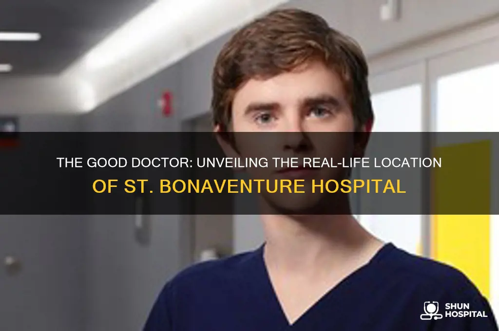 where is the hospital located in the good doctor