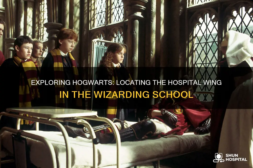 where is the hospital wing in hogwarts