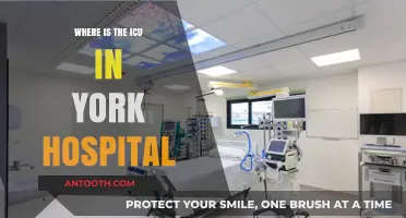 Locating the ICU in York Hospital: A Quick Guide