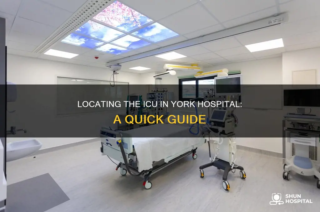 where is the icu in york hospital