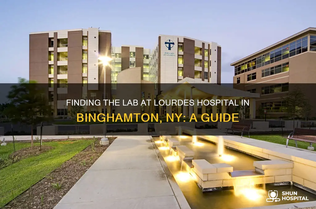 where is the lab at lourdes hospital in binghamton ny