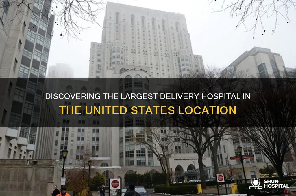 where is the largest delivery hospital in the us located