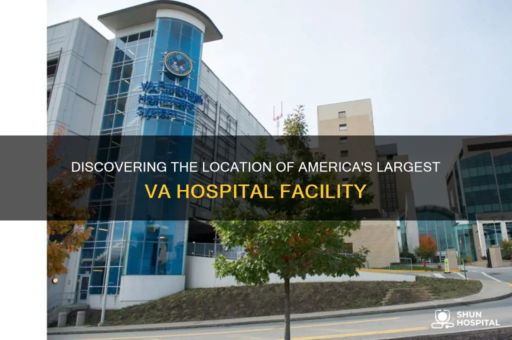 where is the largest va hospital located
