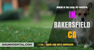 Find the Nearest Pet Hospital in Bakersfield, CA: Quick Guide