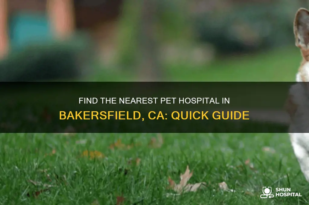 where is the local pet hospital in bakersfield ca
