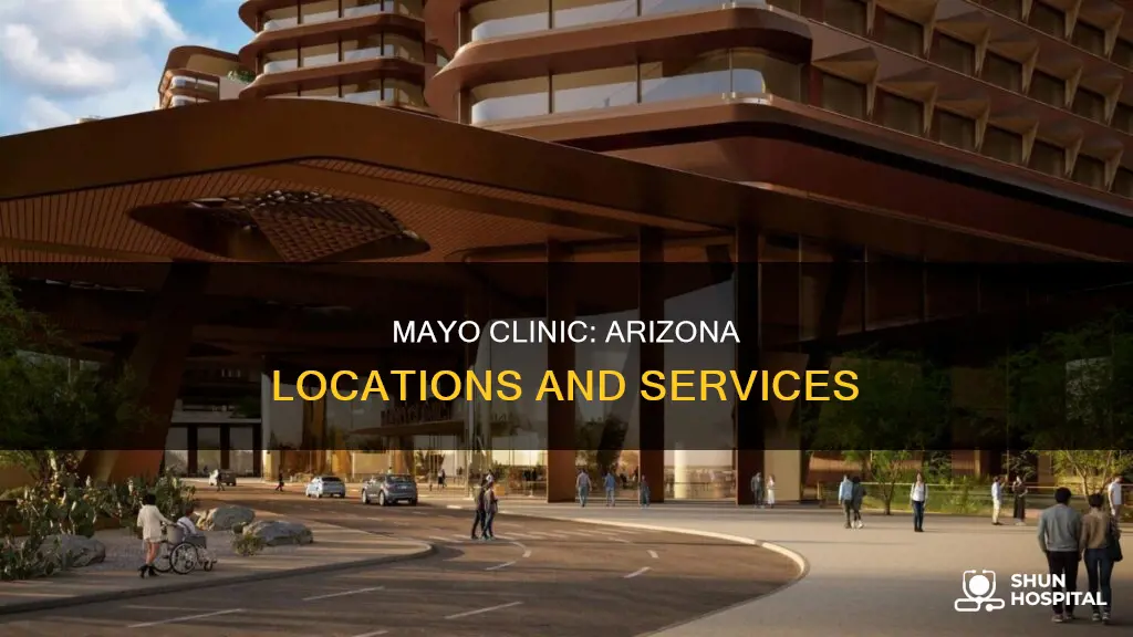 where is the mayo clinic in arizona