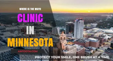 Mayo Clinic: Rochester, Minnesota's Health Hub
